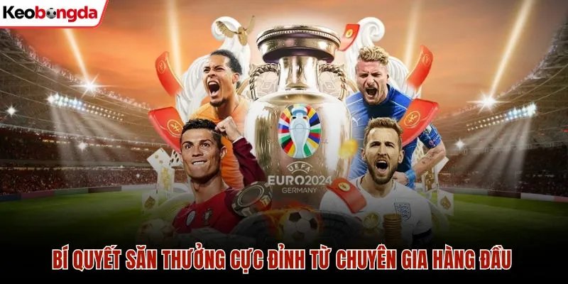 Bí quyết săn thưởng cực đỉnh từ chuyên gia hàng đầu