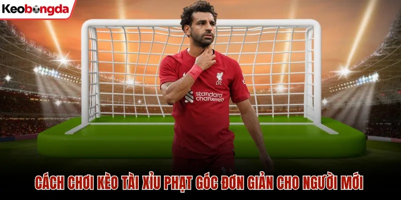 Kèo tài xỉu phạt góc