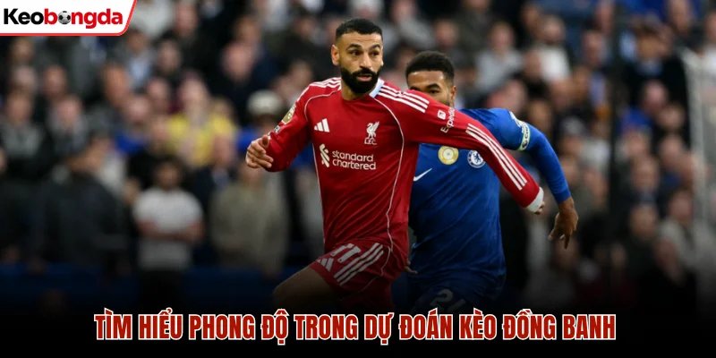 Tìm hiểu phong độ trong dự đoán kèo đồng banh